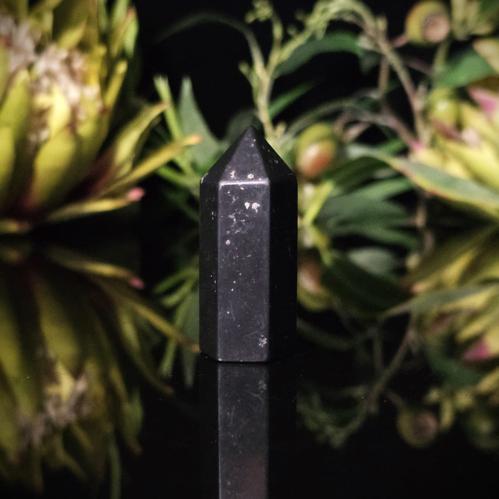 Shungite Generator - Crystal Visions Store