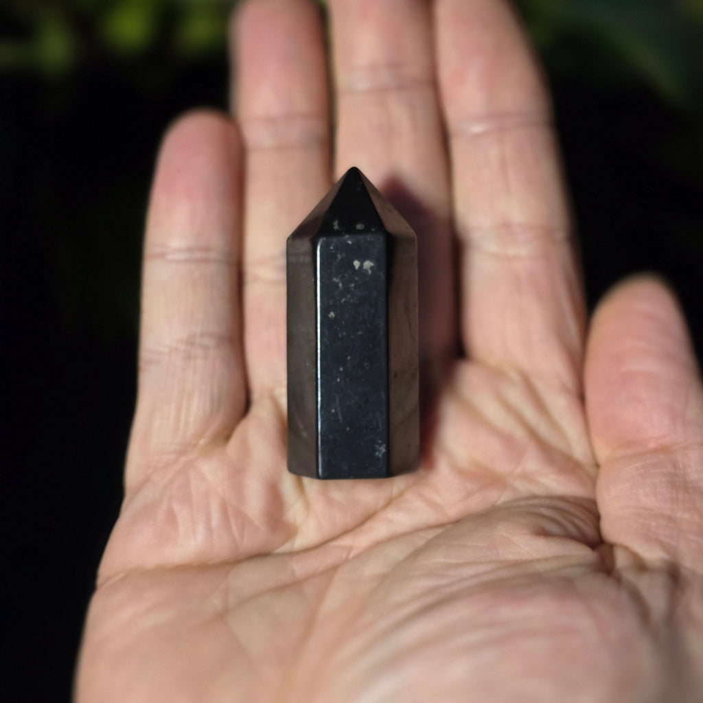 Shungite Generator - Crystal Visions Store