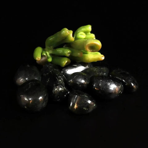 Shungite Tumble Stones - Crystal Visions Store