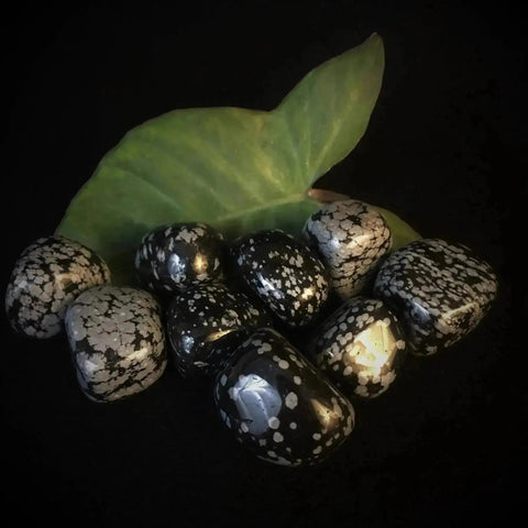 Snowflake Obsidian Tumble Stones - Crystal Visions Store