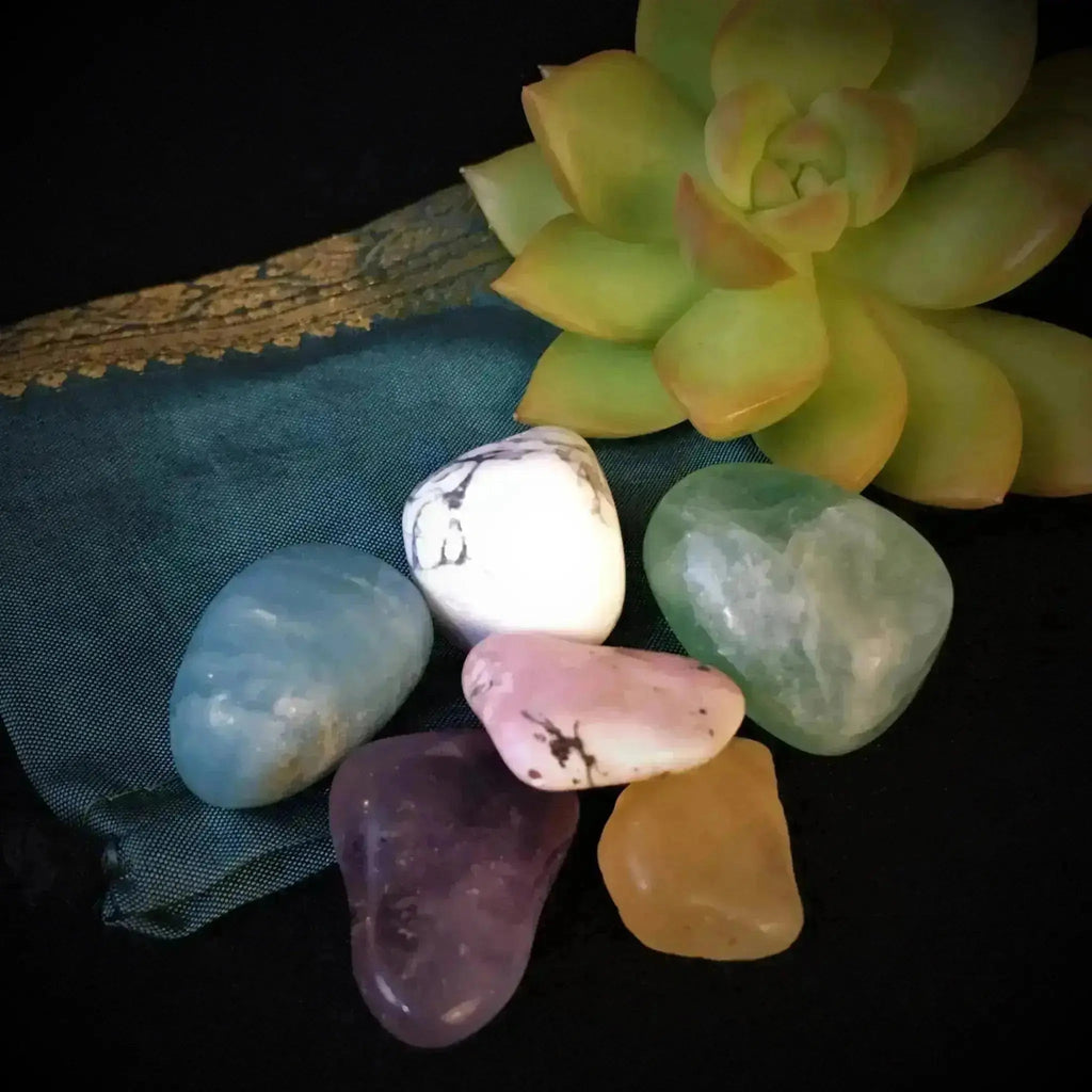 Study Tumbles - Crystal Visions Store