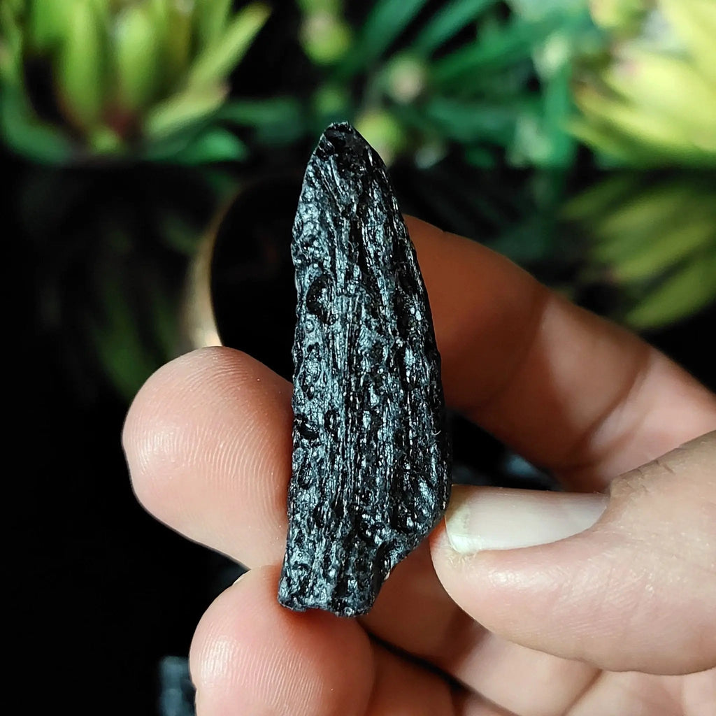 Tektite Specimens - Crystal Visions Store