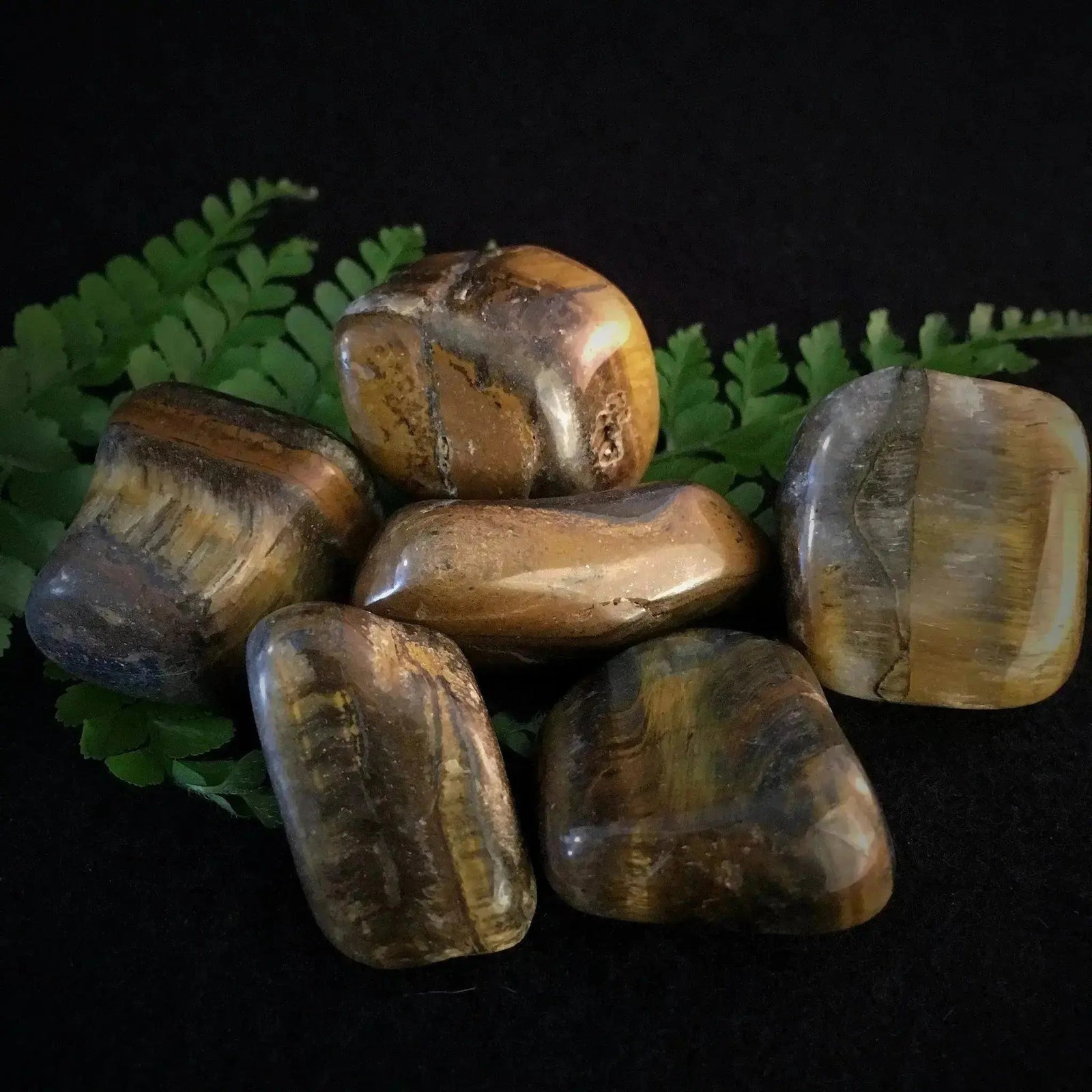 Tiger Eye Tumbles - Crystal Visions Store