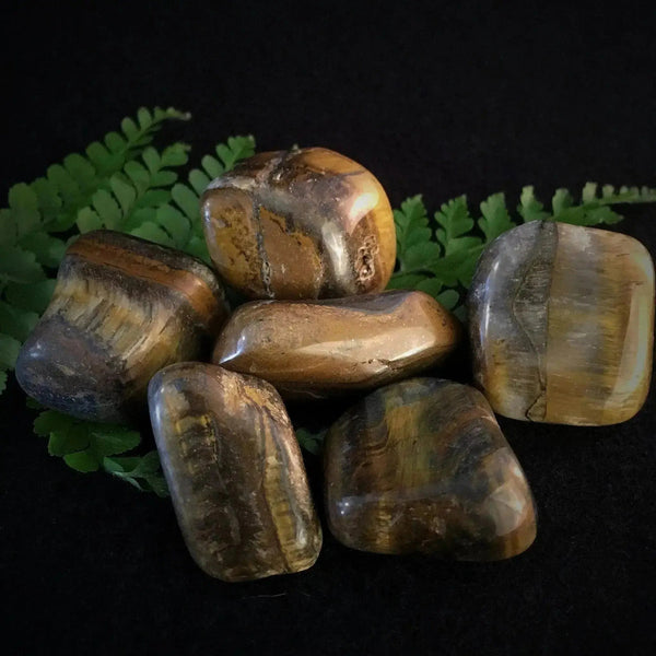 Tiger Eye Tumbles