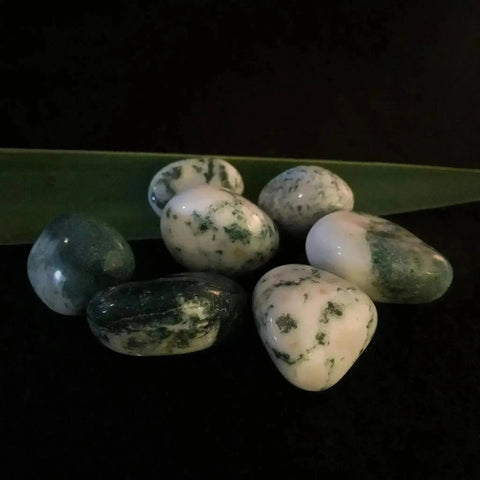Tree Agate Tumble Stones - Crystal Visions Store